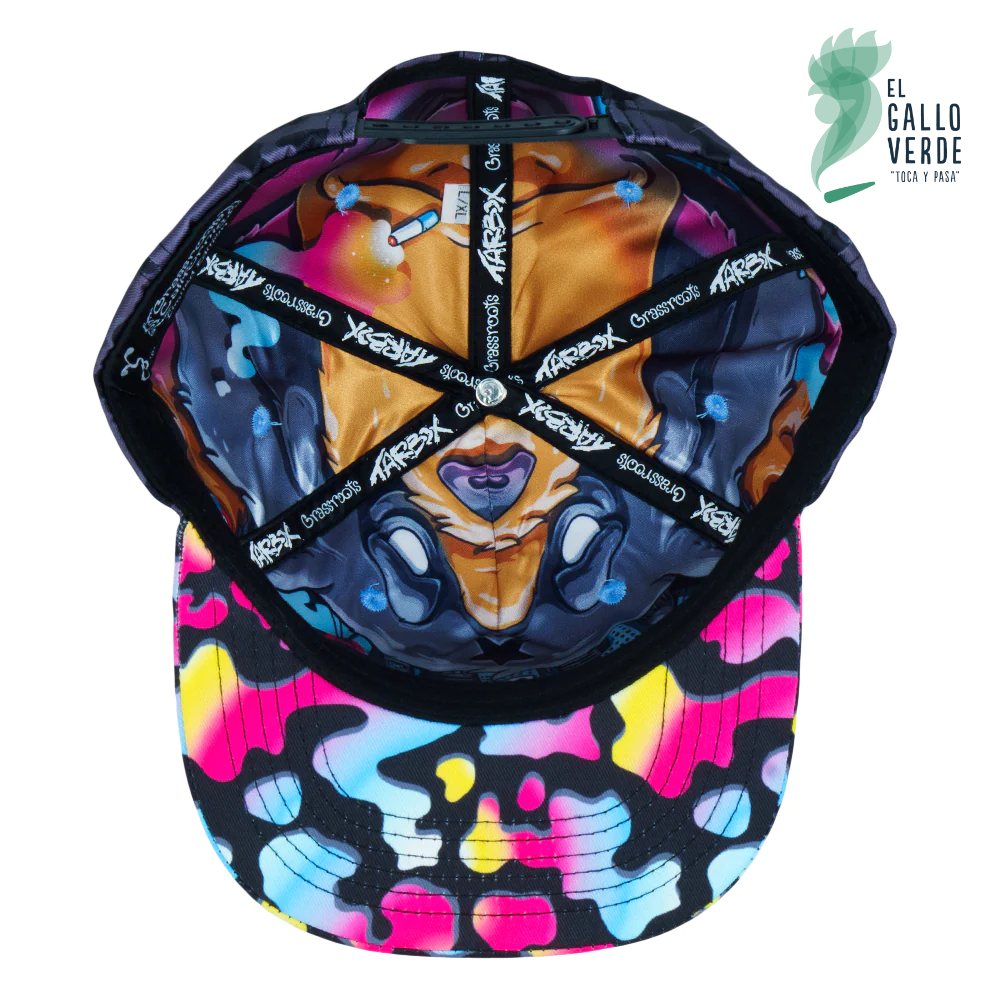 Grassroots - Tarbox Bear Black Snapback Hat