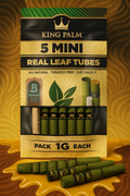 Natural 5 King Palm