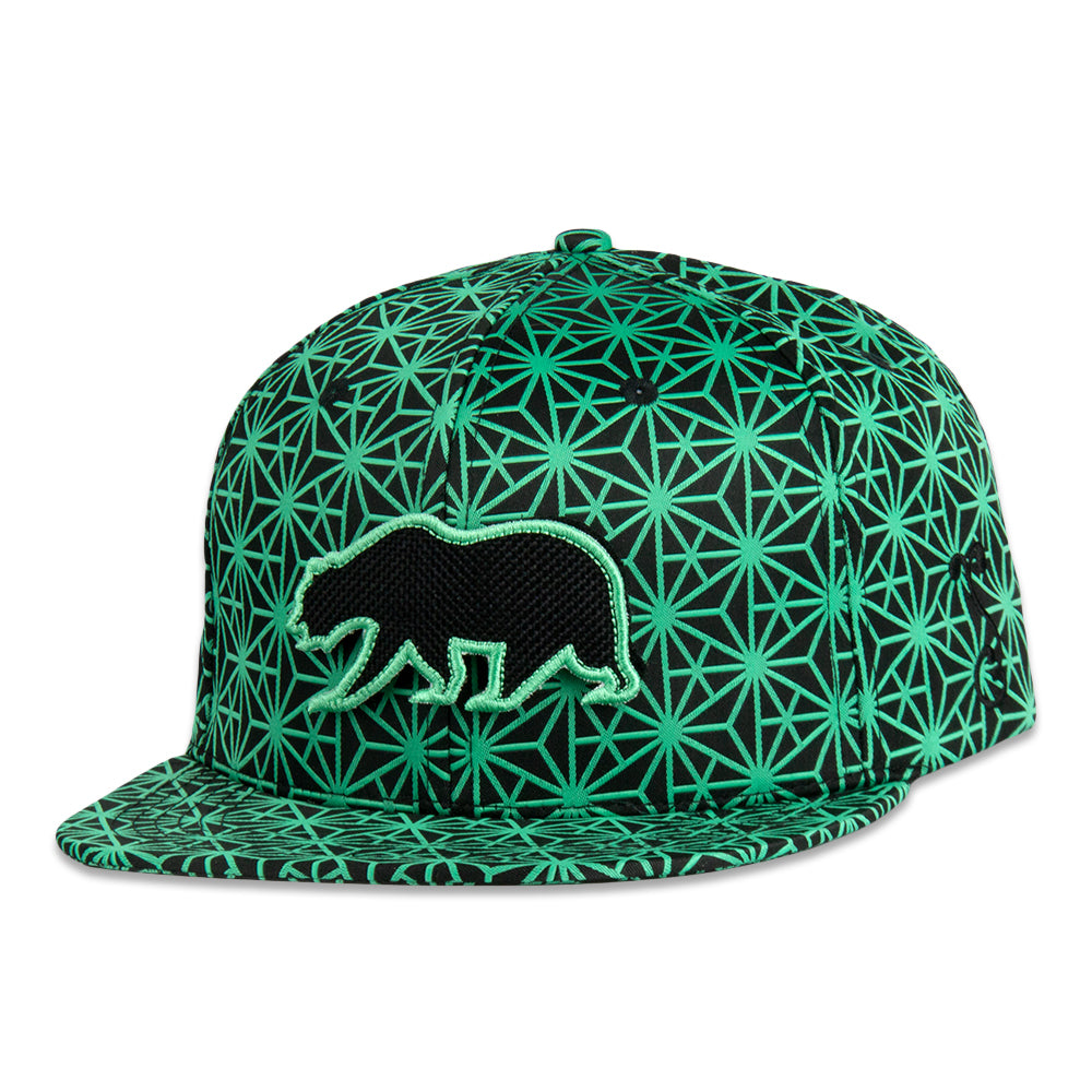 Grassrooots - Removable Bear Geo Triangles Seafoam Snapback Hat